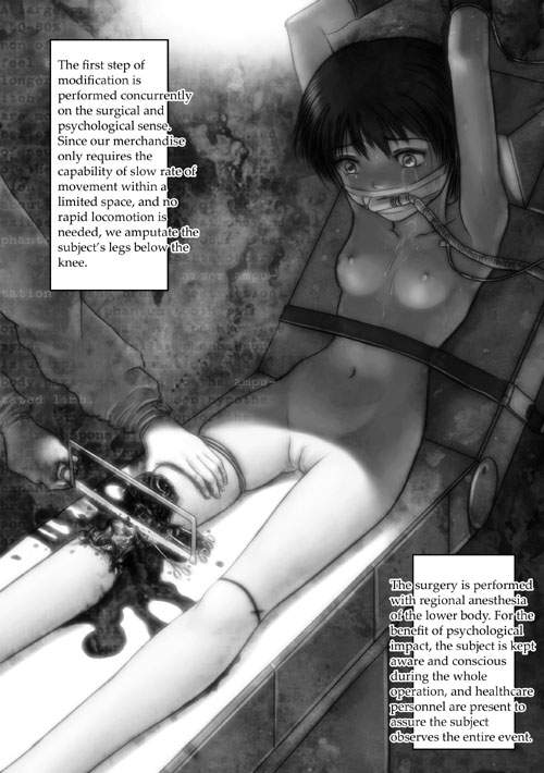 Zenith - Merchandise page 2 full