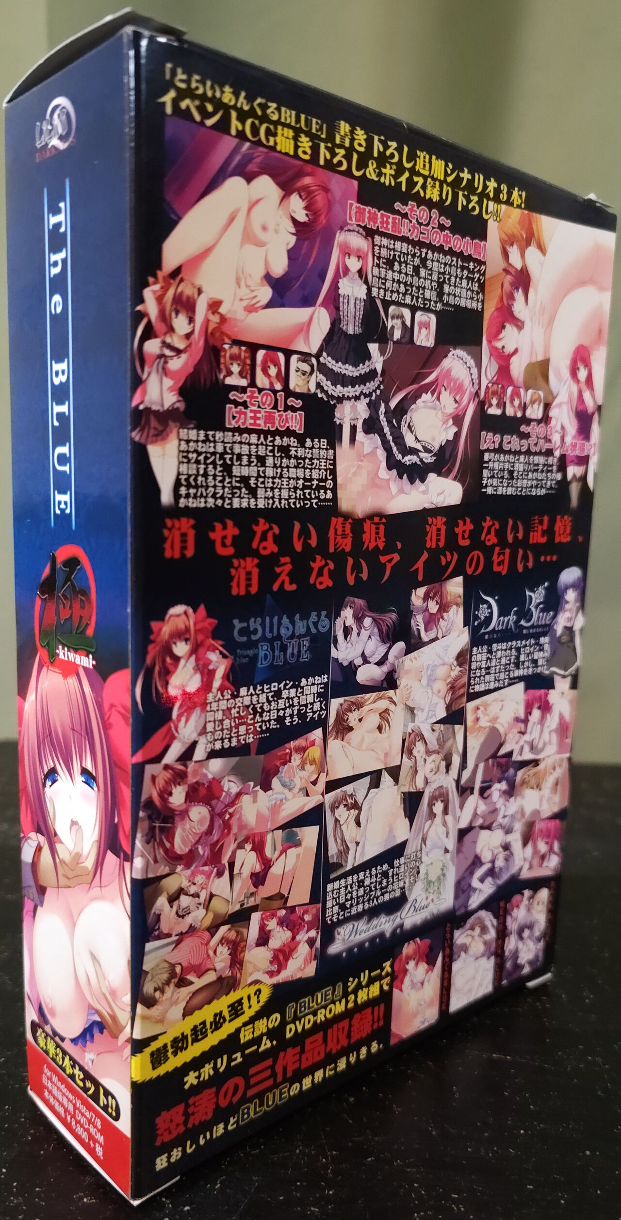 The BLUE 極 Boxart and Manual page 2 full