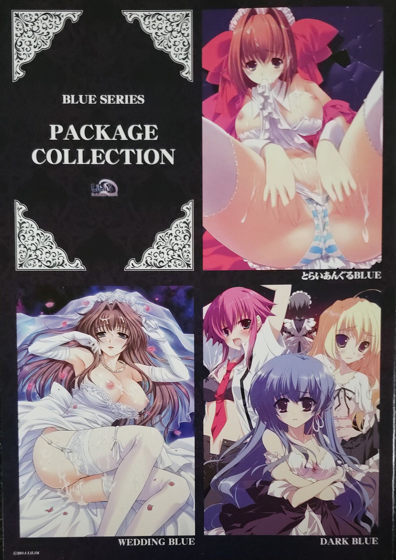 The BLUE 極 Boxart and Manual page 9 full
