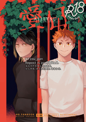 AIJITSU cover