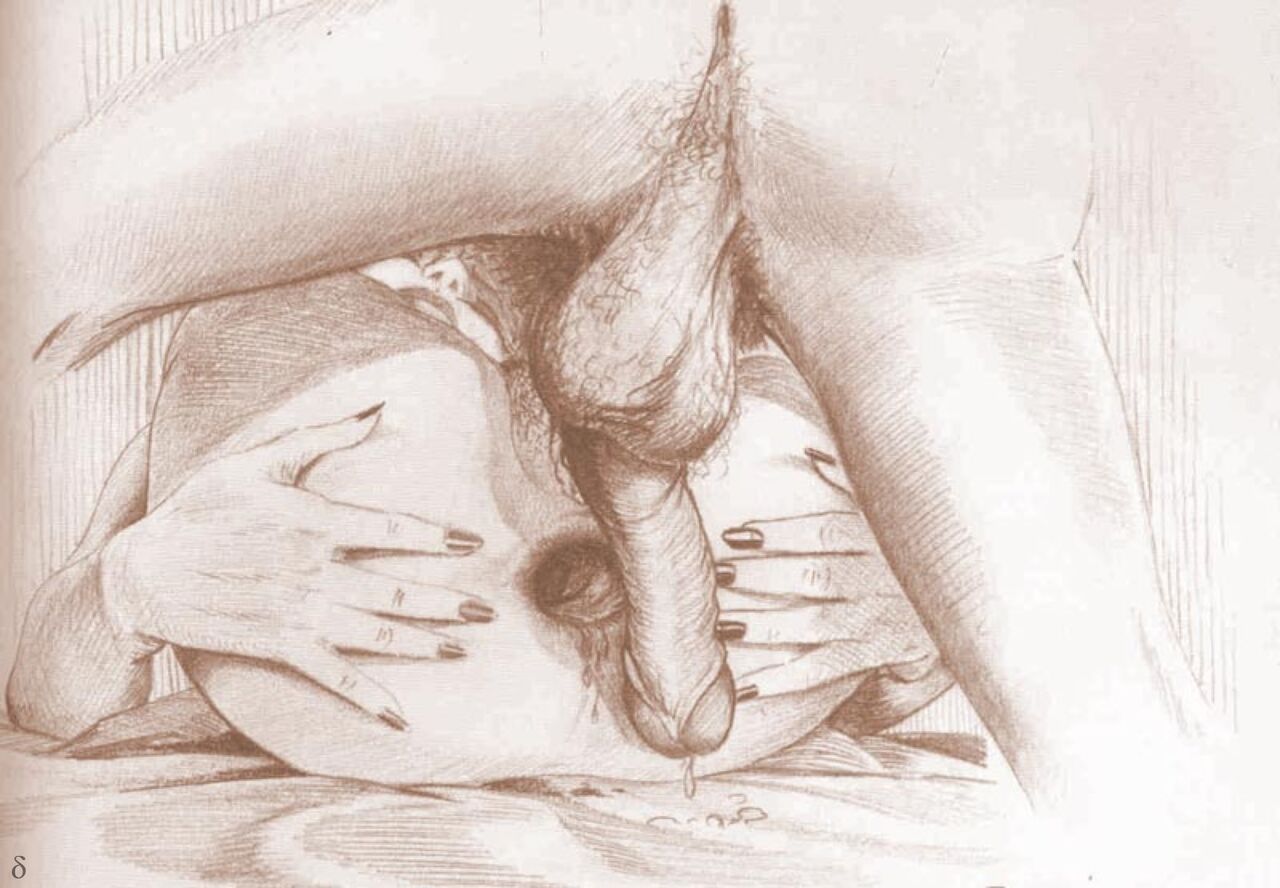 Farrel - Anal Drawings page 9 full