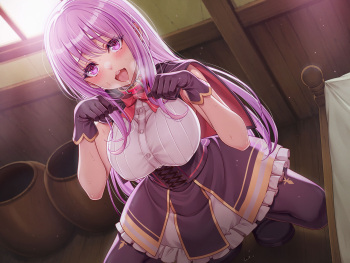 Tsuihou Tamer no NTR Fukushuudan cover