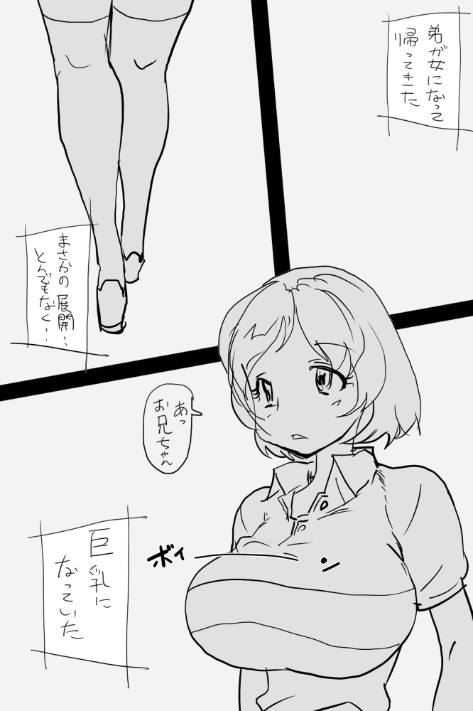 ONK : 女体になった巨乳の弟を犯しちゃうお話し。 page 2 full