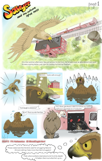 Sawyer and the Vulture Love Nest cover