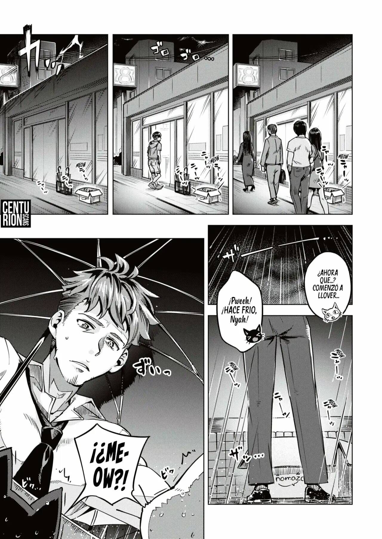 Oshikake Nyanko | Gatitas no invitadas page 3 full