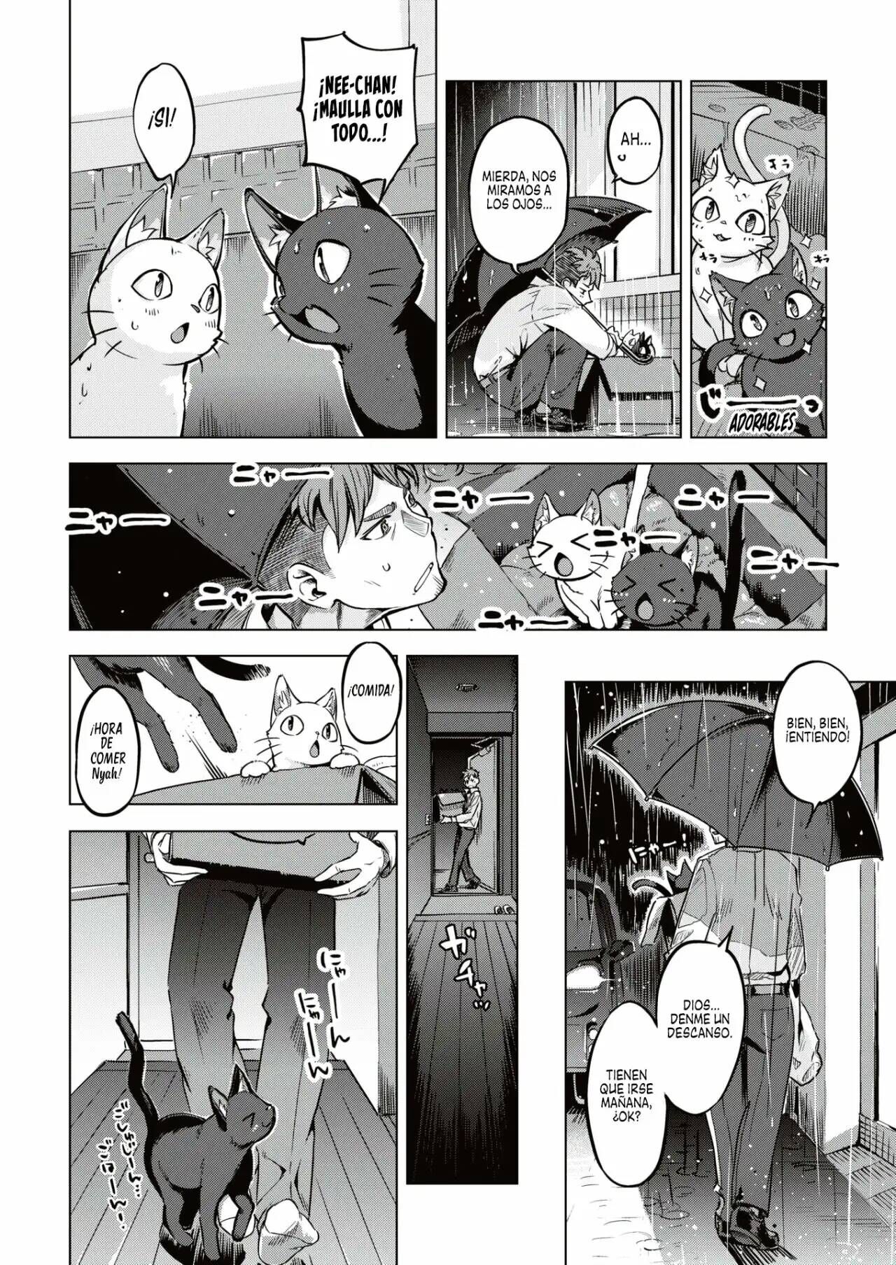Oshikake Nyanko | Gatitas no invitadas page 4 full