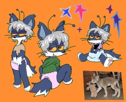 Artist - lileli