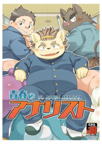 Seishun no Analyst cover