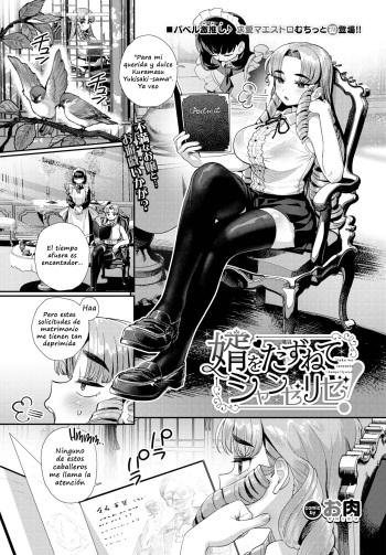 Muko o tazunete Shanzerize! cover