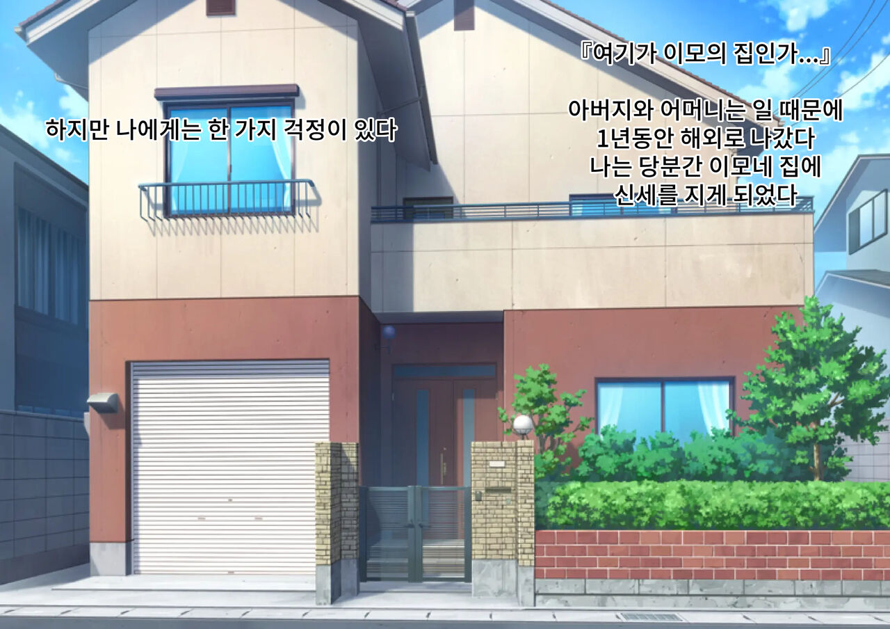 Ecchi na Karada Shiteru Kuse ni Seikaku Warui Onee-chan ha Saimin shite Niku Benki ni shitemo ii yo ne? | 야한 몸을 가지고 있는 주제에 성격 더러운 누나는 최면으로 육변기로 만들어도 괜찮겠지? page 2 full