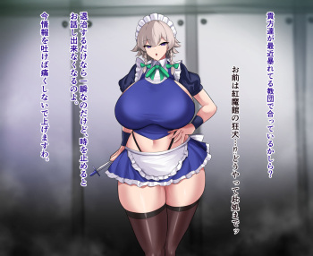 Hiyayakko  SENNYUU SOUSA IN IZAYOI SAKUYA cover