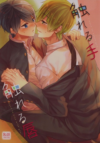 Fureru Te Fureru Kuchibiru - I want to touch tou. I want to kiss with  you. cover