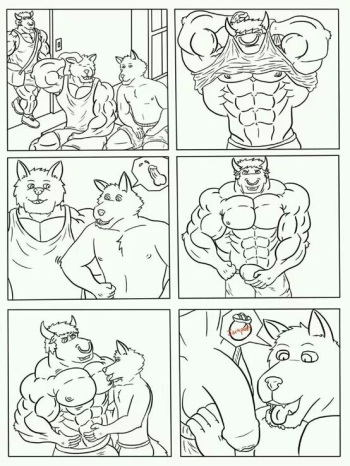 fusion after workout cover