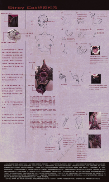 JM cover