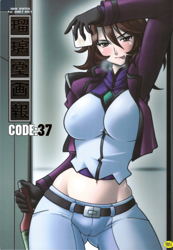 Ruridou Gahou CODE：37 cover