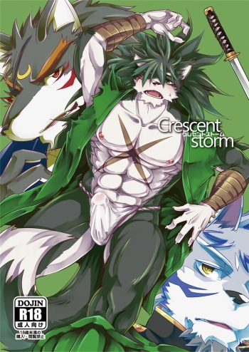 Crescent Storm cover