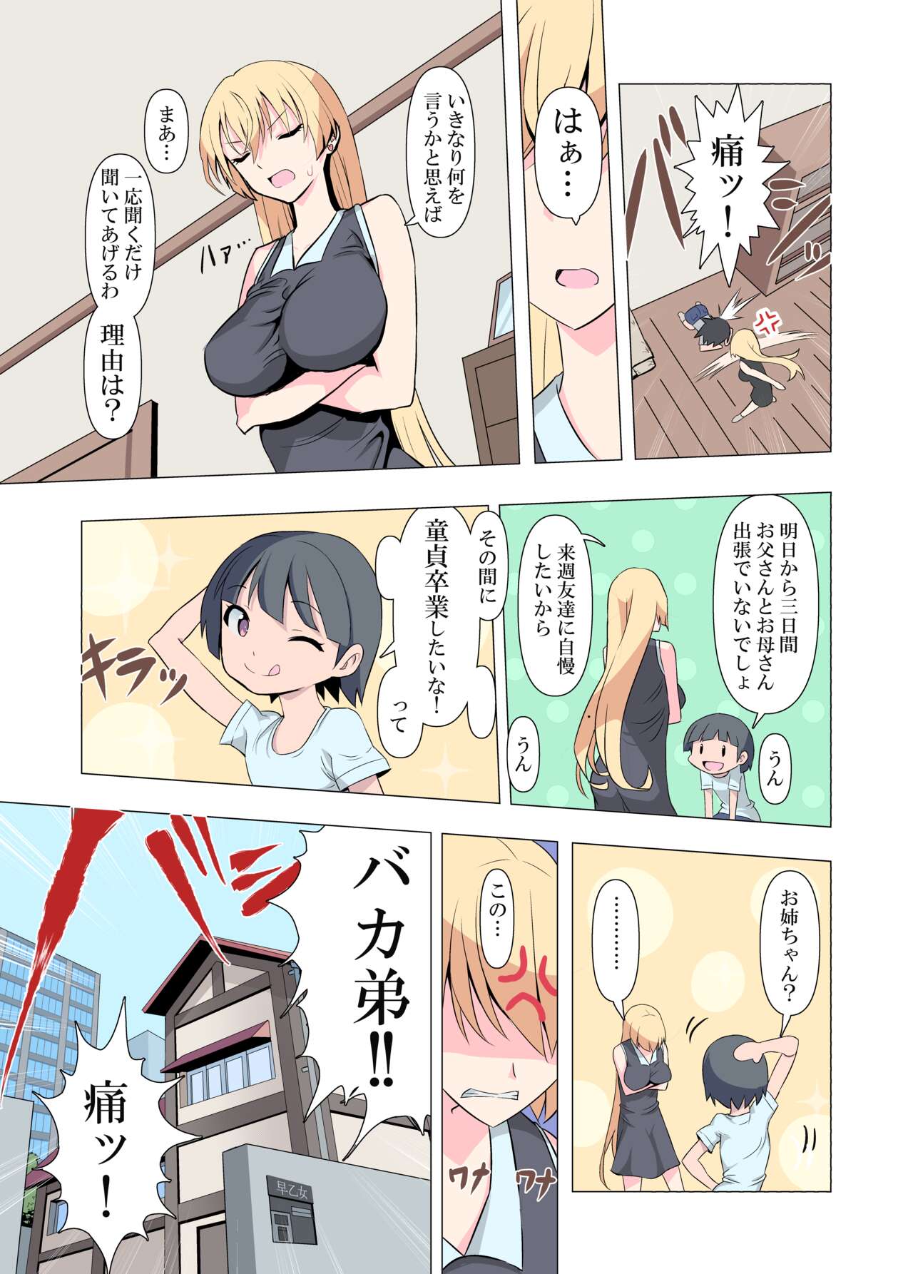 Onee-chan Onegai! 1-kai de Ii kara Sex Sasete! page 3 full