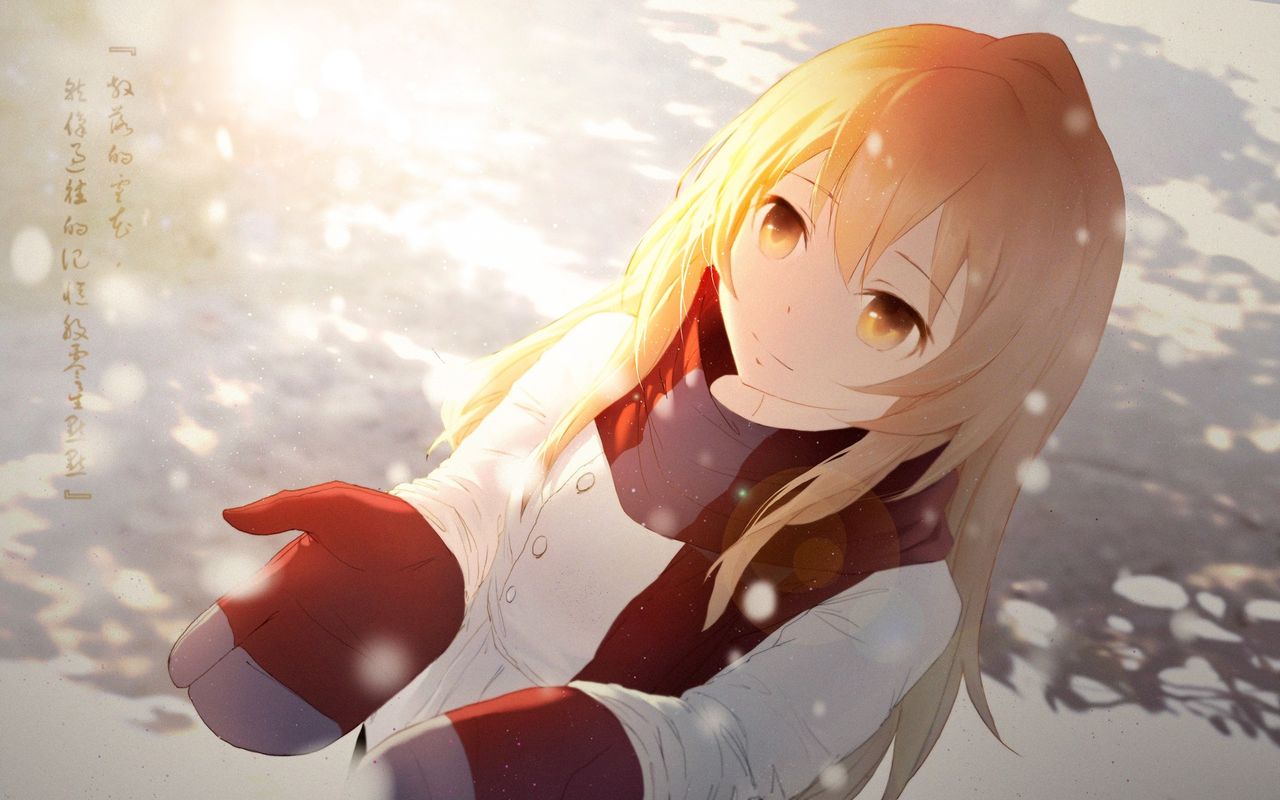 Aisaka taiga Image Set page 2 full