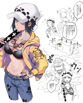 Female Law Gallery - One piece cover