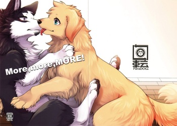 More, more, MORE! cover