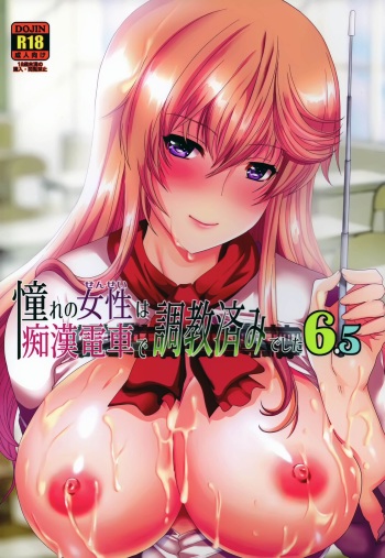 Akogare no Josei  wa Chikan Densha de Choukyouzumi Deshita 6.5 cover