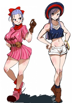 Dragon Ball - Bulma Briefs