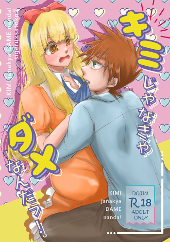 Kimijanakya damenanda ~tsu. cover