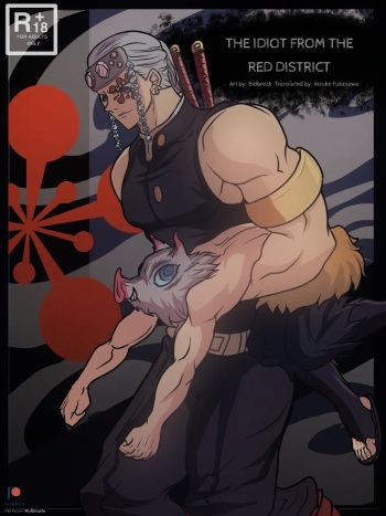 The idiot from the red district cover