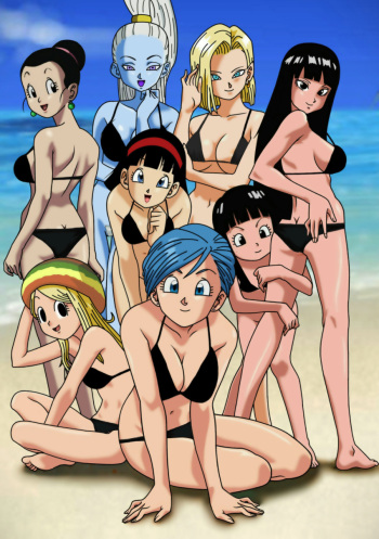 Girls of Dragonball cover