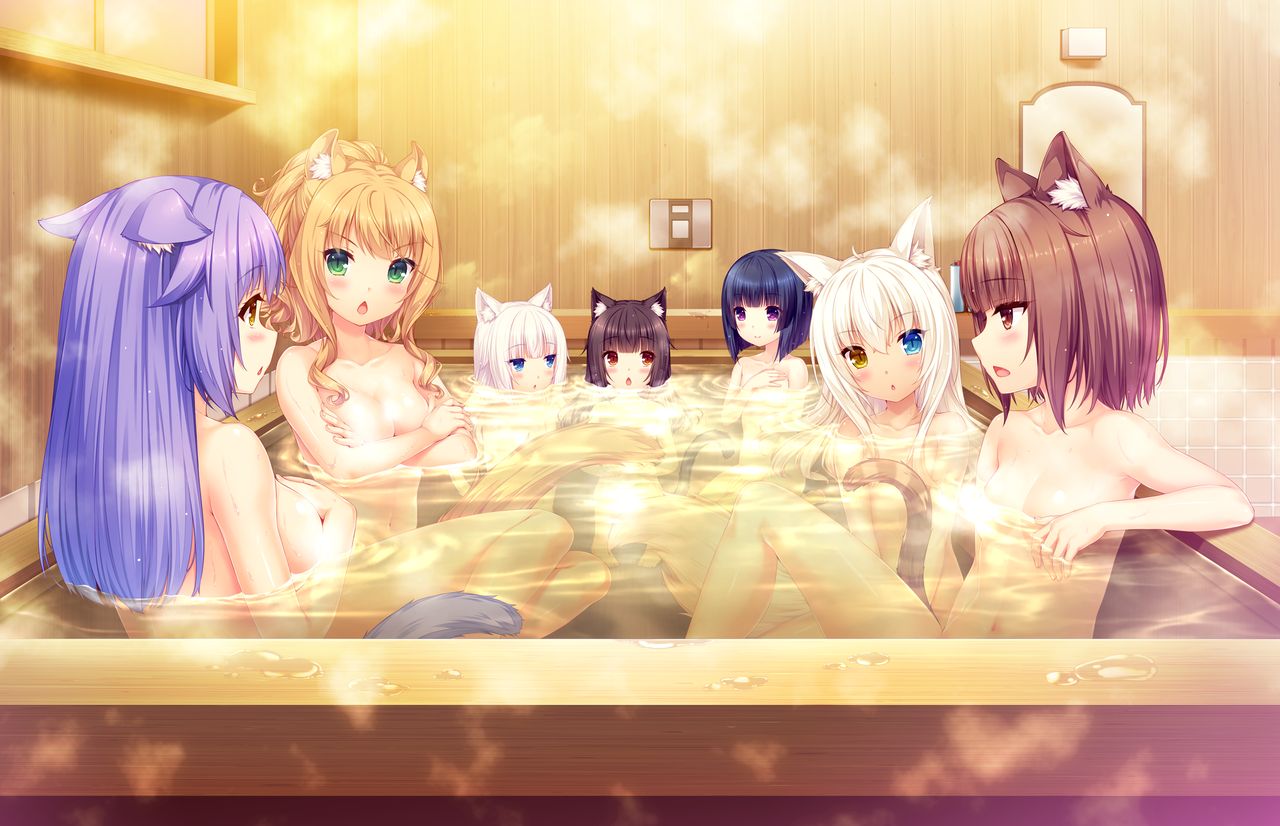Catgirl Harem page 5 full