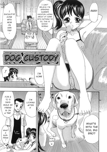 Dog Custody cover