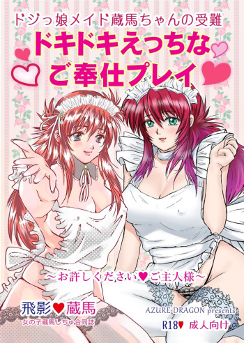 Dojikko meido zō-ba-chan no junan dokidoki etchi nago hōshipurei oyurushi kudasai goshujinsama cover