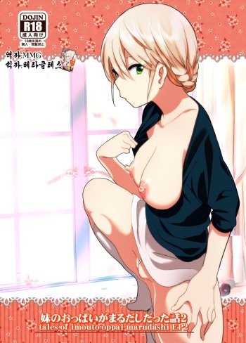 Imouto no Oppai ga Marudashi Datta Hanashi 2 cover