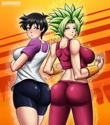 Dragon Ball - Videl cover