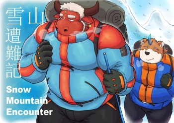 Snow Mountain Encounter cover