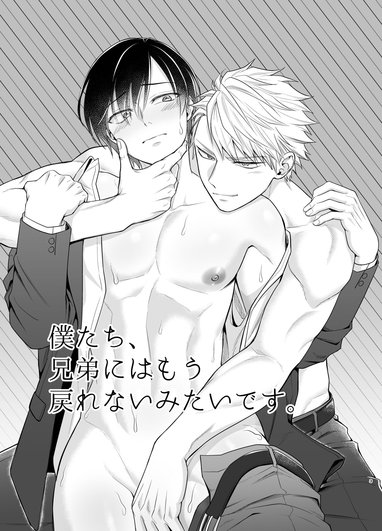 僕たち、兄弟にはもう戻れないみたいです。 page 3 full