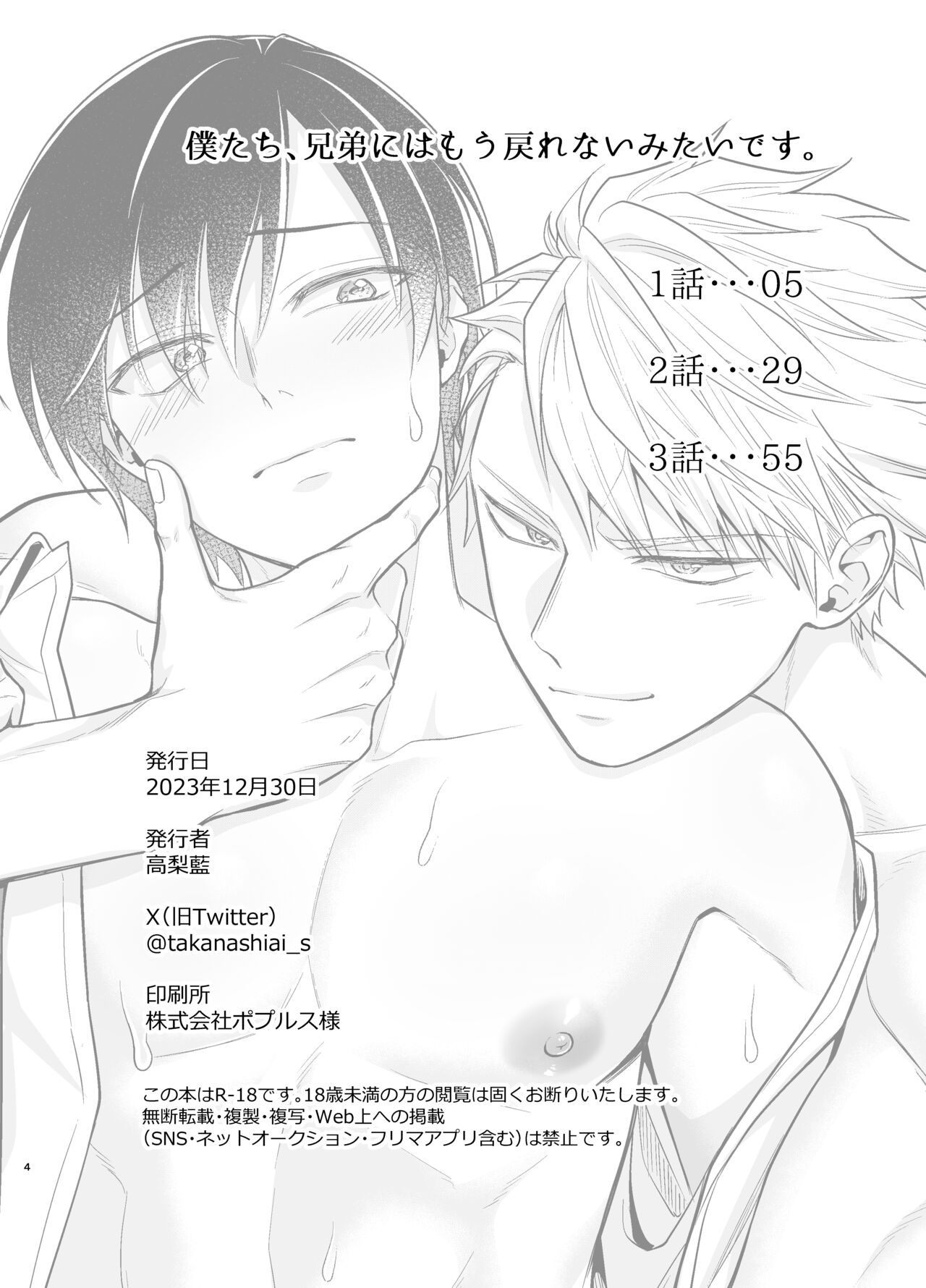 僕たち、兄弟にはもう戻れないみたいです。 page 4 full