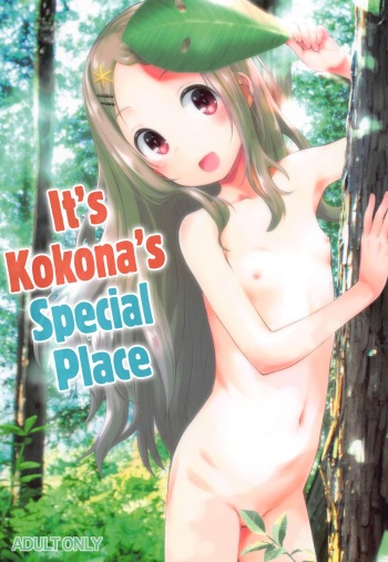 Kokona no Koko Desuyo~ cover