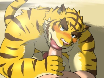 Morenatsu  CG + Character Sprites + Backgrounds cover