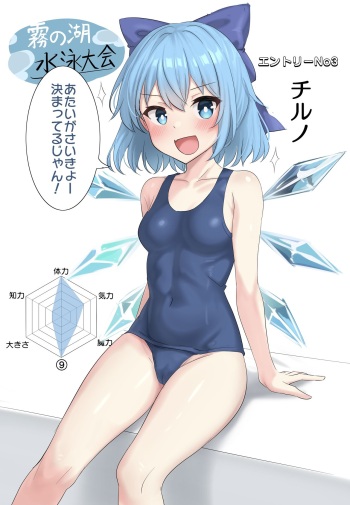 Touhou Swimsuit cover