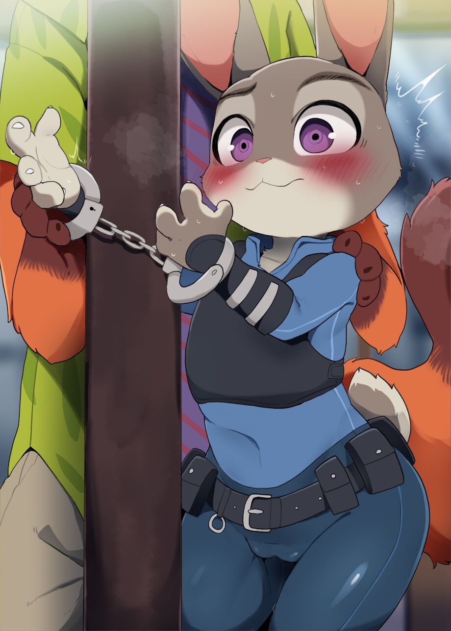 Judy Public Use page 1 full