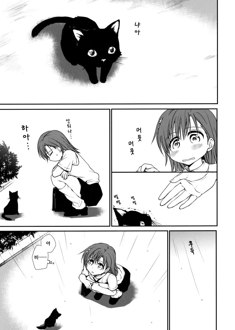 Railgun no Negaikata | 초전자포의 부탁하는법 page 2 full