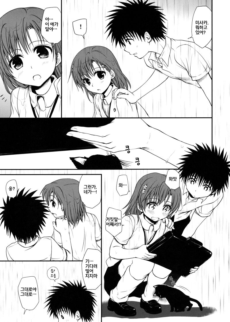 Railgun no Negaikata | 초전자포의 부탁하는법 page 4 full