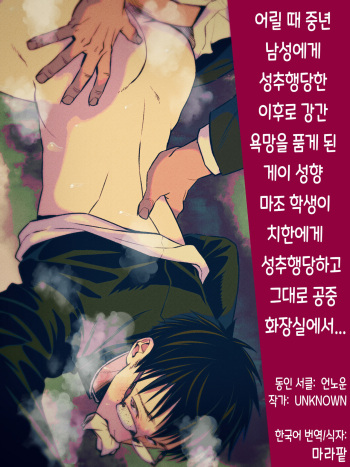 Osanai Koro ni Chuunen Otoko ni Itazura Sareta Koto ni Yori Rape Ganbou o Kojirasete Iru Gay Keikou M Gakusei ga, Chikan Sarete Sonomama Koushuu Toire de... | 어릴 때 중년 남성에게 성추행당한 이후로 강간 욕망을 품게 된 게이 성향 마조 학생이 치한에게 성추행당하고 그대로 공중 화장실에서... cover