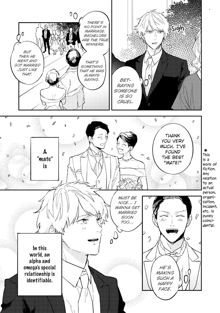 I can't Believe You're my Fated Partner! page 3 full