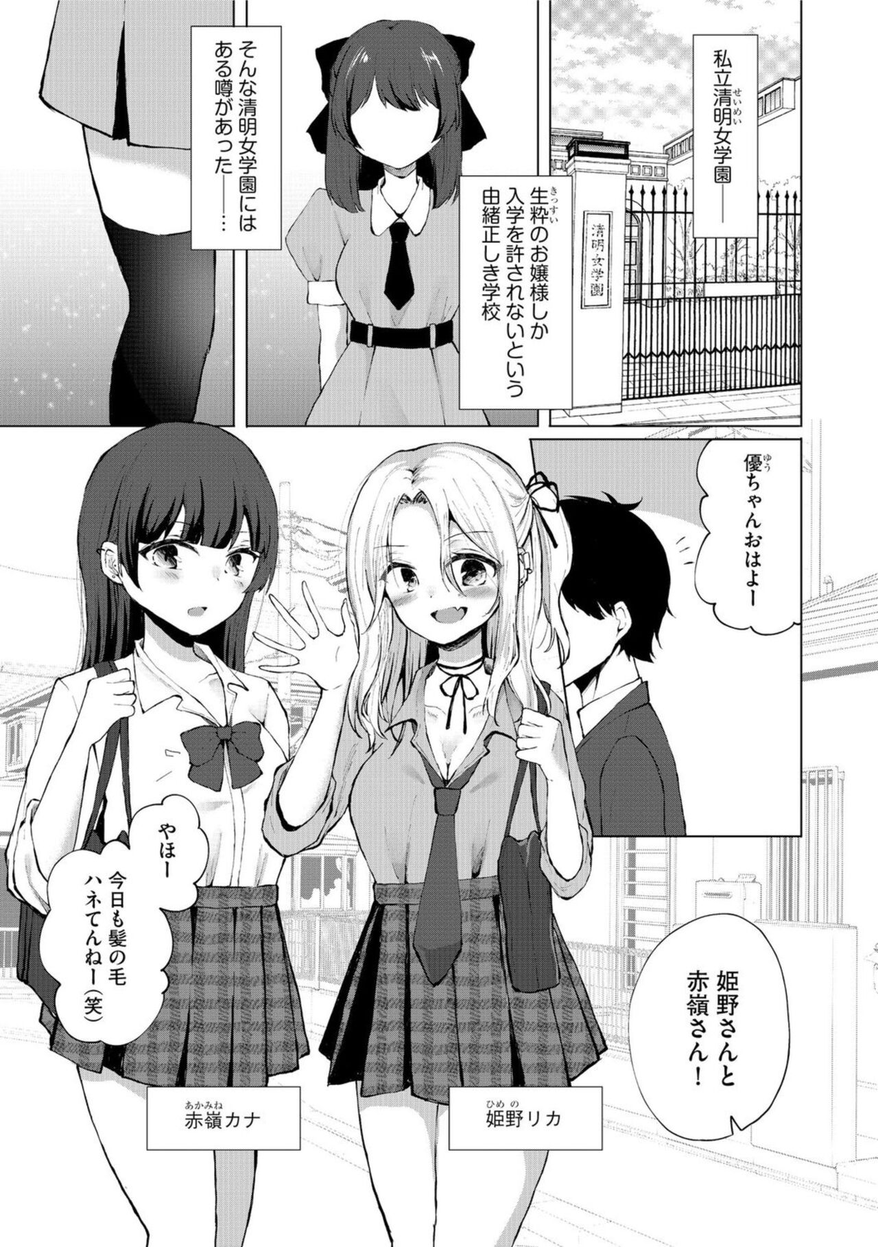 Dokitu! Bicchi Seitodarake no Ojōsamakō de Gakuen Kōnin Hāremu Gyaku Reipu!? 1 page 3 full