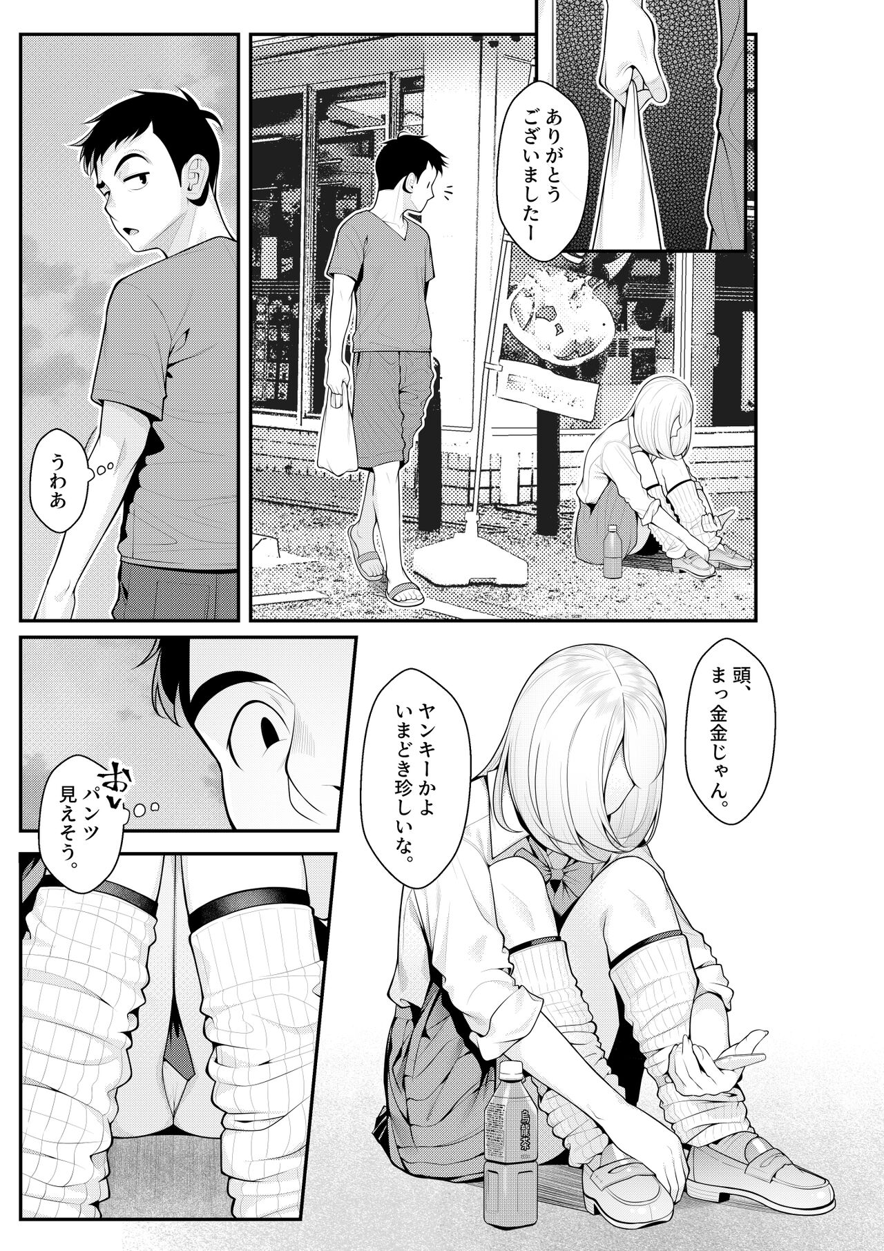 Iede Gal o Hirottara Harem ni Natta Hanashi page 5 full