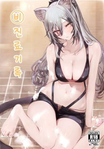 Himitsu Goei Kiroku cover