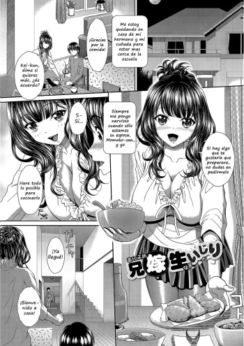 Aniyome seiijiri cover
