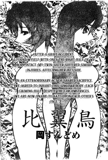 Hiyoku dori cover